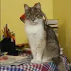 Отзыв от Ирина Кулагина